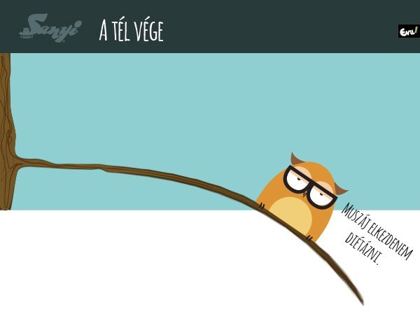 sanyi_a_bagoly_nlc_02-02