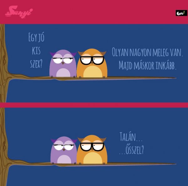 sanyi_a_bagoly_nlc_junius-09