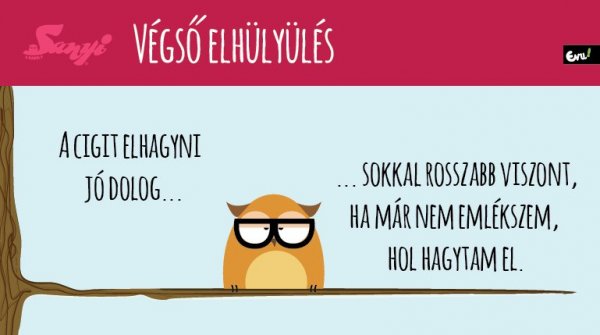 sanyi_a_bagoly_nlc_junius-18