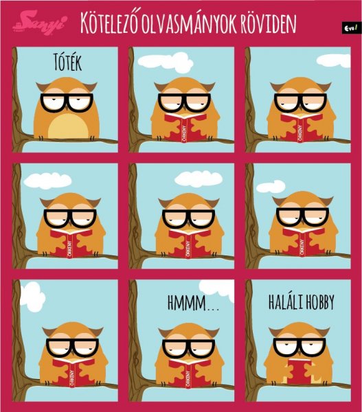 sanyi_a_bagoly_nlc_augusztus-07