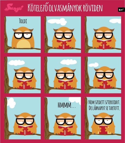 sanyi_a_bagoly_nlc_augusztus-11