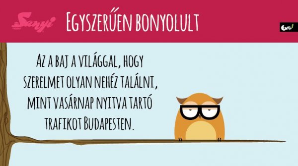 sanyi_a_bagoly_nlc_julius-01