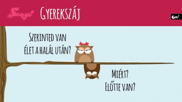 sanyi_a_bagoly_nlc_julius-08