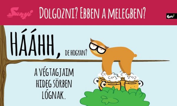 sanyi_a_bagoly_nlc_julius-33