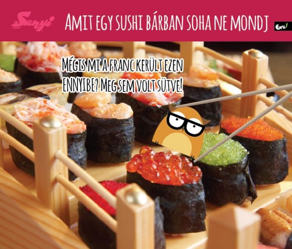 sanyi_a_bagoly_nlc_julius-35