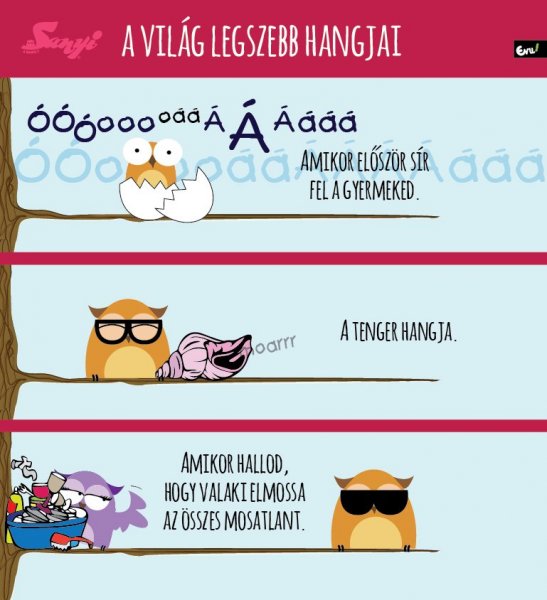 sanyi_a_bagoly_nlc_julius-37