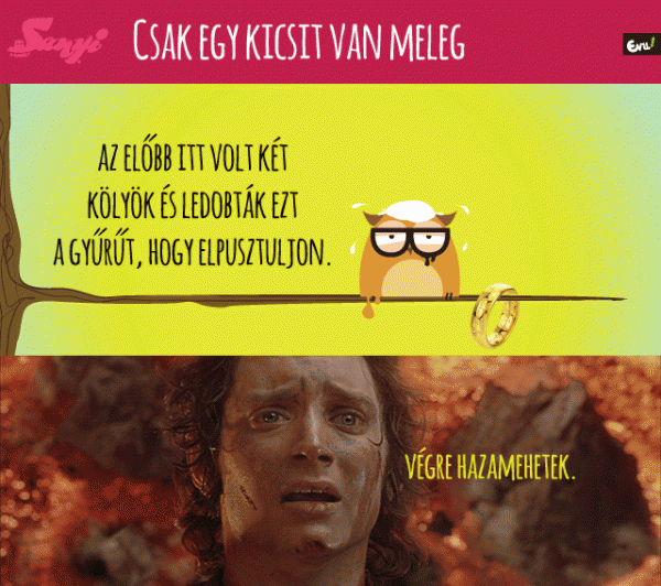 sanyiabagoly_hoseg_meleg_julius