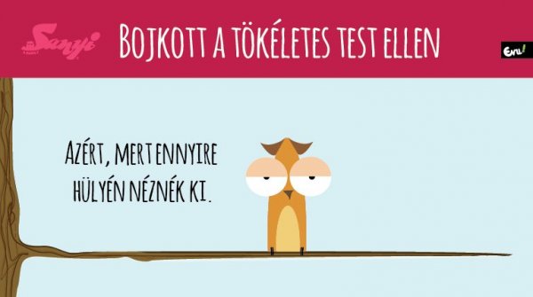 sanyi_a_bagoly_nlc_augusztus-01