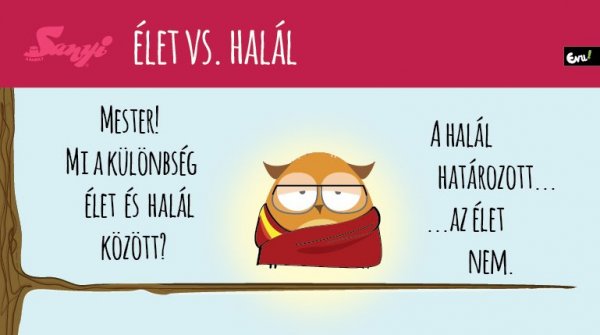 sanyi_a_bagoly_nlc_augusztus-32