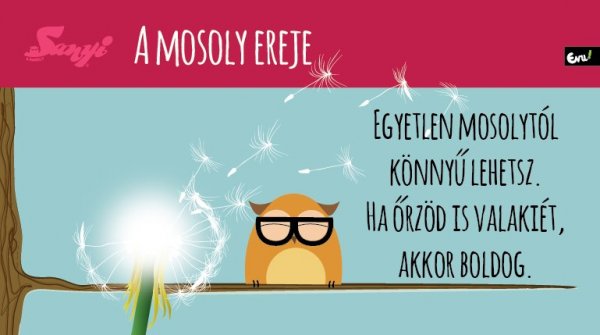 sanyi_a_bagoly_nlc_augusztus-36