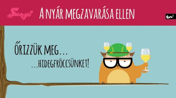 sanyi_a_bagoly_nlc_augusztus-40