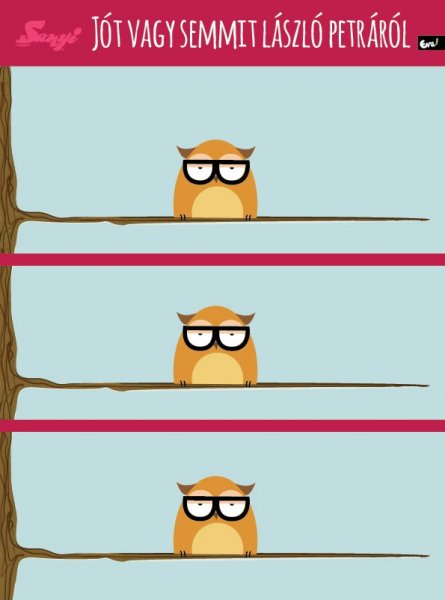 sanyi_a_bagoly_nlc_szeptember-16