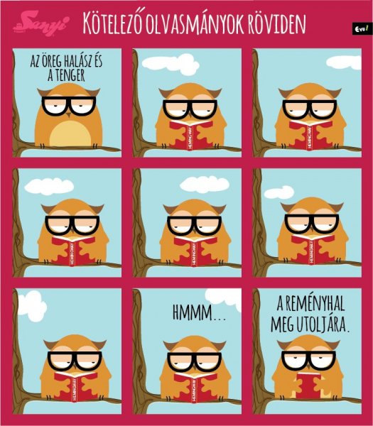 sanyi_a_bagoly_nlc_szeptember-20