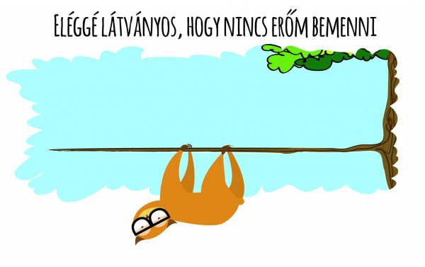 sanyi_a_bagoly_nlc_szeptember-35