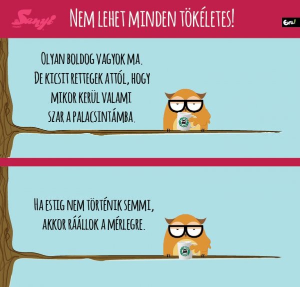 sanyi_a_bagoly_nlc_oktober-01