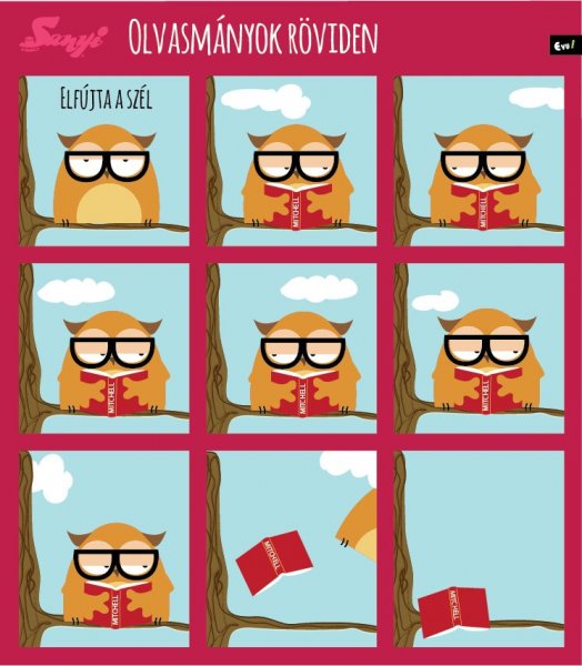 sanyi_a_bagoly_nlc_oktober-27